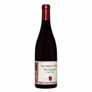 Bourgogne Pinot Noir ''Cuvée Simone''
