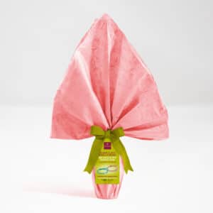 Milk Chocolate & Hazelnut Easter Egg