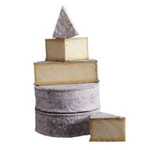 Gorwydd Caerphilly 230G (1/16 Wheel)